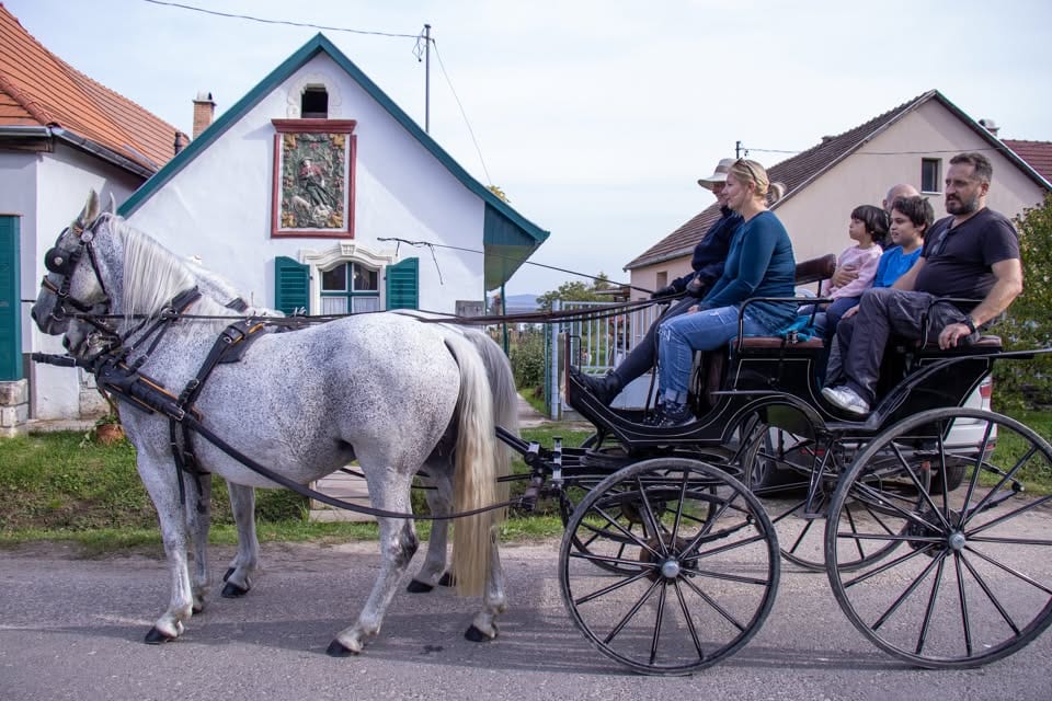 Vendel napi lovaskocsikázás · Zsámbék