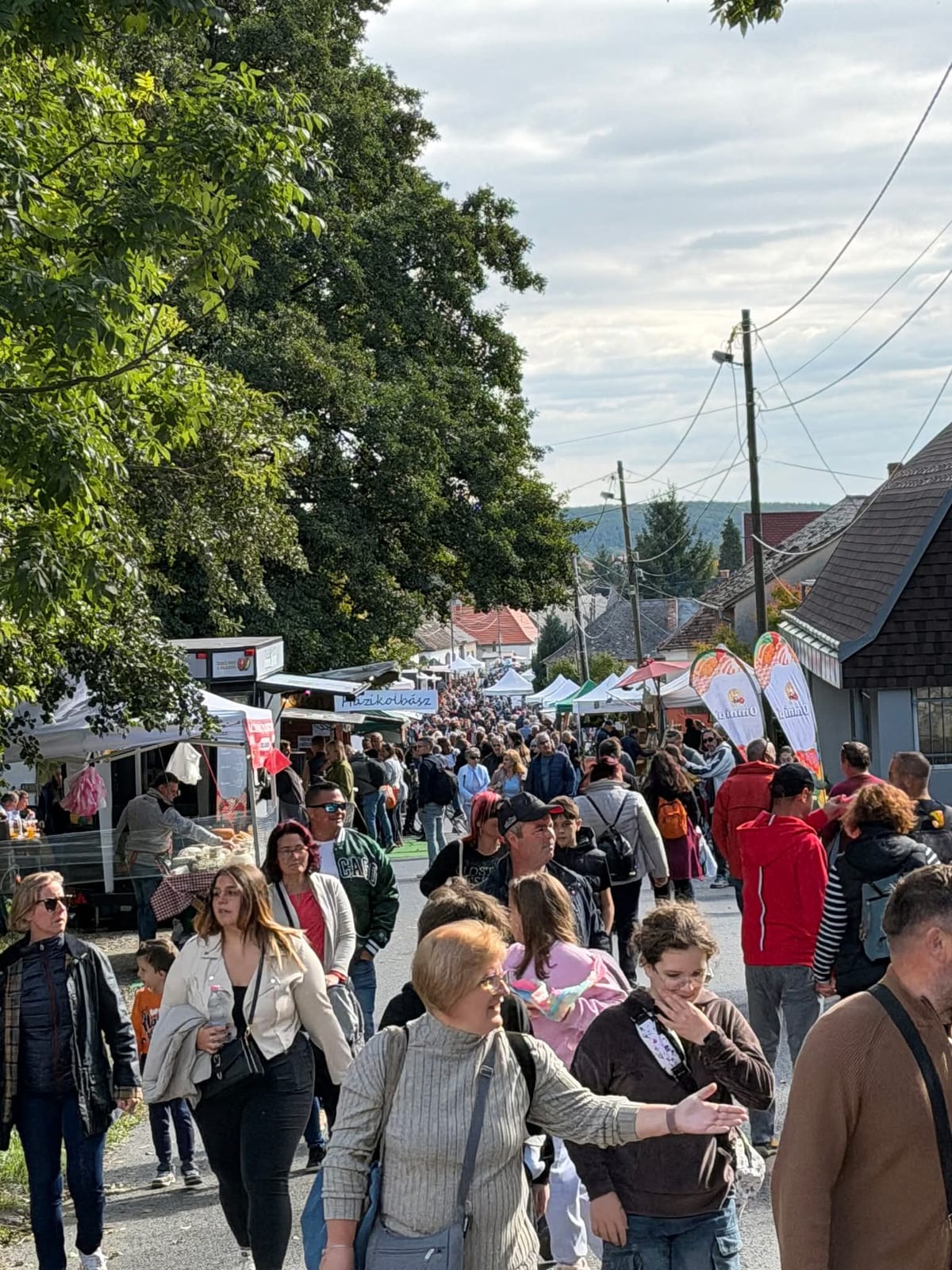 Gesztenye fesztivál vásári forgatag · Velem